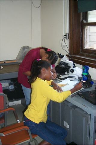 1999.YSI.microscope