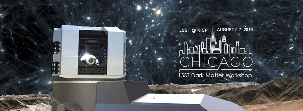 Logo: LSST Dark Matter Workshop