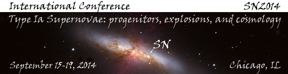 Conference: Type Ia Supernovae: progenitors, explosions, and cosmology, 2014